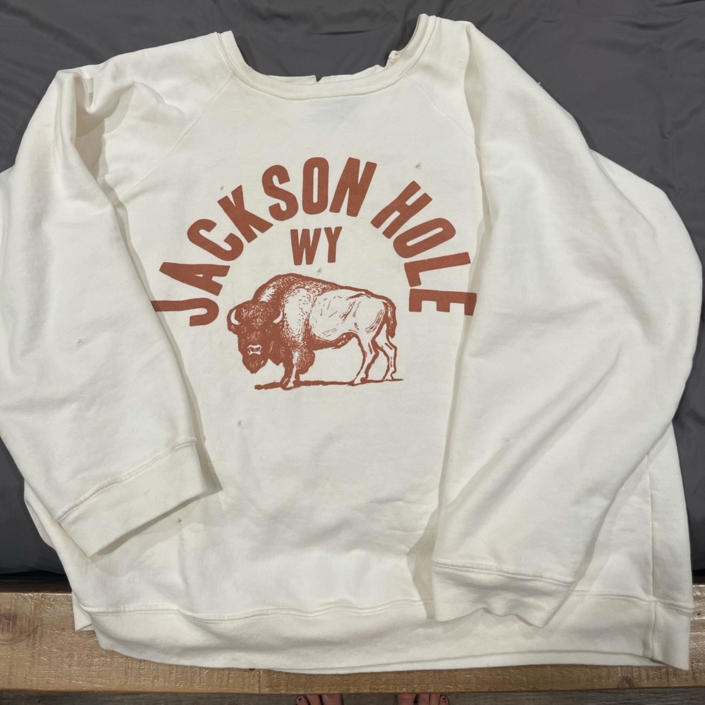 Free people jackson hole sweatshirt